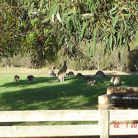 Mountain View Motor Inn & Holiday Lodges Halls Gap Luaran gambar