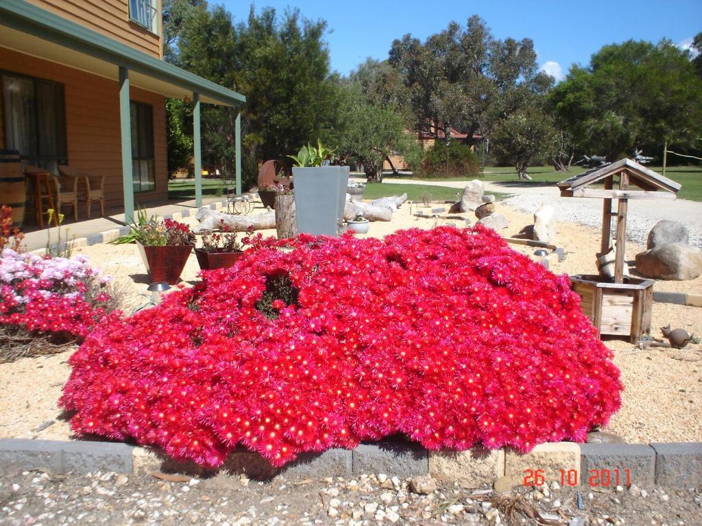 Mountain View Motor Inn & Holiday Lodges Halls Gap Luaran gambar
